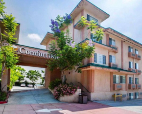 Отель Comfort Inn Monterey Park - Los Angeles  Монтерей Парк